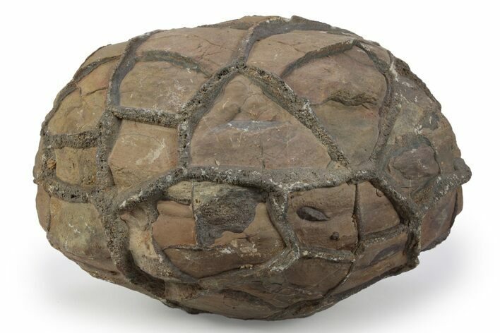 Septarian Nodule - Morocco #237273